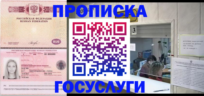 прописка паспорт в Донском